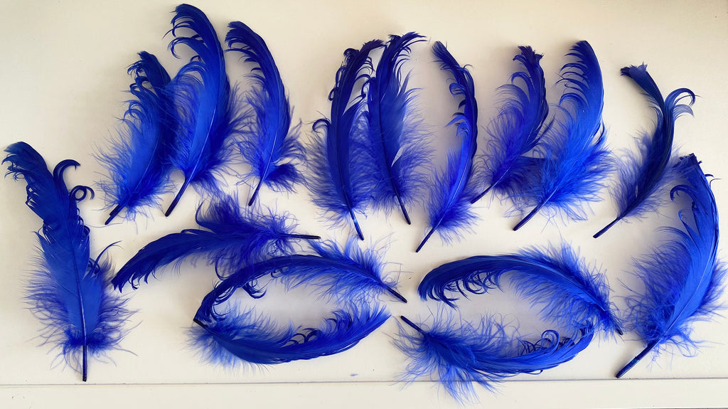Craftuneed Bundle 16pcs Royal Blue Curly Goose Feathers Ideal for Crafts, Costumes, Millinery