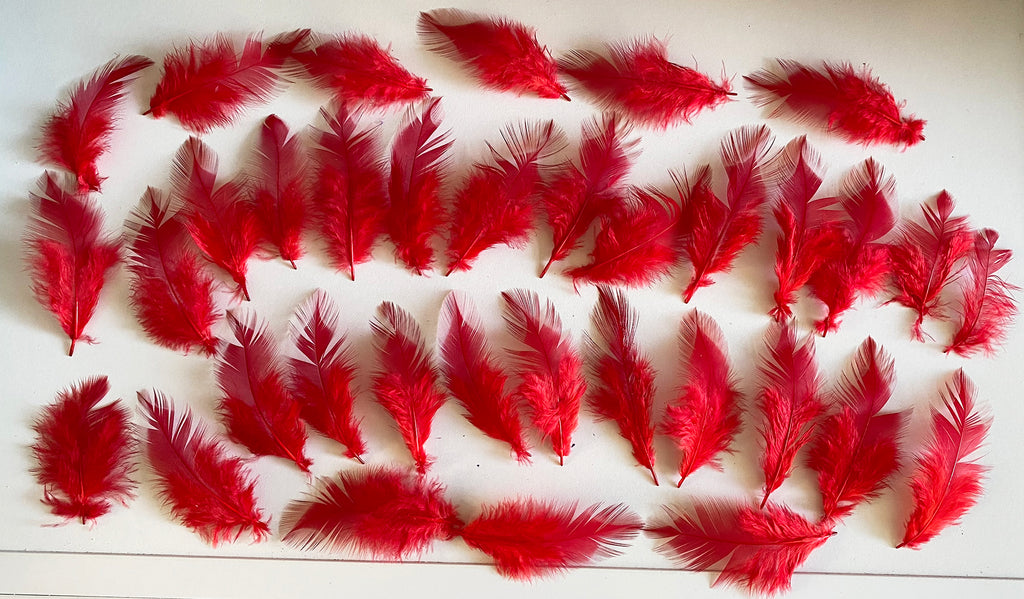 Craftuneed Bundle 35pcs Red Goose Feathers Fluffy Pointed Shape Ideal for Crafts, Costumes, Millinery DIY