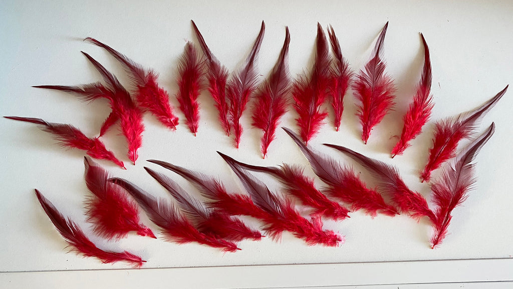 Craftuneed Bundle 23pcs Red Feathers with Tapered Pointed Tips and Fluffy down Ideal for Crafts, Costumes, Millinery