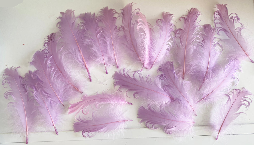 Craftuneed Bundle 20pcs Lilac Curly Goose Feathers Ideal for Crafts, Costumes, Millinery