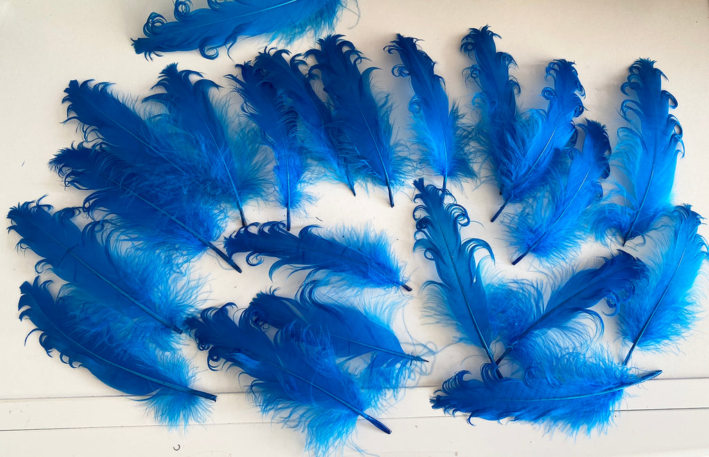 Craftuneed Bundle 21pcs Lagoon Blue Curly Goose Feathers Ideal for Crafts, Costumes, Millinery