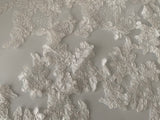 Craftuneed Bundle 11pcs ivory floral lace applique sew on embroidered tulle lace motif patch