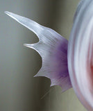 1:6 Scale Doll Elf Ears Miniature Mermaid Ears Handmade Fantasy Ear Accessories for Dolls & Cosplay Various Colour Available