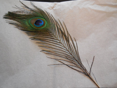 A Piece of peacock Hat Mount feather Millinery / DIY craft feather around25-29cm
