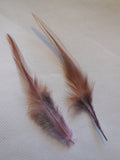 2pcs Brown + lilac Stripped Hat Mount feather Millinery DIY craft feathers