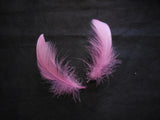 2pcs Sharp Pink Stripped Hat Mount feather Millinery DIY craft feathers for sale