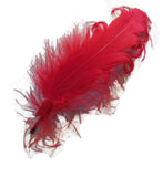 A Piece of Black or Red Stripped Hat Mount feather Millinery DIY craft feather