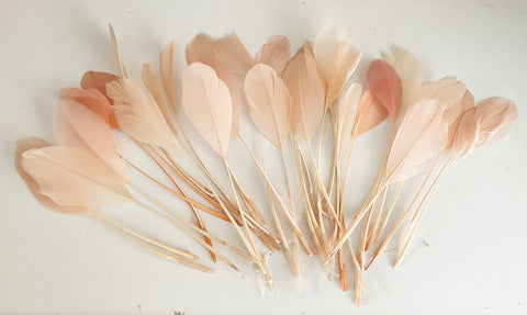 Craftuneed Bundle 34pcs Peach Pink Goose Feathers Soft Craft Feathers for DIY Hat Millinery Supplies