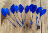 Royal Blue Goose Feathers DIY Craft Millinery Supplies (10pcs, 13-16cm Lengths)