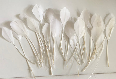 Craftuneed Bundle 30pcs Ivory Goose Feathers Soft Craft Feathers for DIY Hat Millinery Supplies