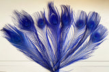 Craftuneed Bundle 8pcs Royal Blue Peacock Feather hat mount Feather For Millinery DIY Art craft