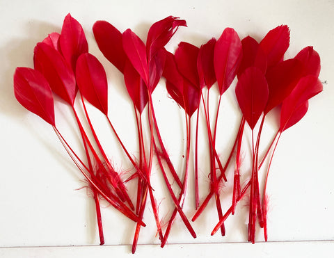 Craftuneed Bundle 25pcs Red Goose Feathers Soft Craft Feathers for DIY Hat Millinery Supplies