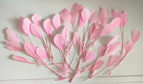 Craftuneed Bundle 40pcs Baby Pink Goose Feathers Soft Craft Feathers for DIY Hat Millinery Supplies