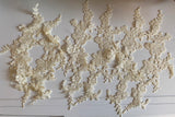 Craftuneed Bundle 6pcs champagne cream lace applique sew on embroidered floral lace motif patch