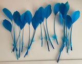 20pcs Lagoon Blue Goose Feathers For Millinery Hat Making Costume DIY Supplies