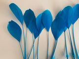 20pcs Lagoon Blue Goose Feathers For Millinery Hat Making Costume DIY Supplies