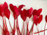 Craftuneed Bundle 25pcs Red Goose Feathers Soft Craft Feathers for DIY Hat Millinery Supplies