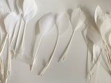 Craftuneed Bundle 30pcs Ivory Goose Feathers Soft Craft Feathers for DIY Hat Millinery Supplies