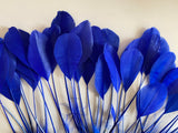 Craftuneed Bundle 35pcs Royal Blue Goose Feathers Soft Craft Feathers for DIY Hat Millinery Supplies
