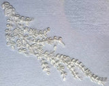 Ivory Floral Lace Applique Pair Bridal Embroidered Lace Motifs 10 Pairs (20pcs)
