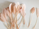 Craftuneed Bundle 34pcs Peach Pink Goose Feathers Soft Craft Feathers for DIY Hat Millinery Supplies