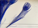 Craftuneed Bundle 8pcs Royal Blue Peacock Feather hat mount Feather For Millinery DIY Art craft