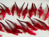 Craftuneed Bundle 23pcs Red Feathers with Tapered Pointed Tips and Fluffy down Ideal for Crafts, Costumes, Millinery
