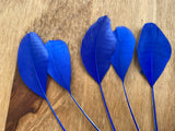 Royal Blue Goose Feathers DIY Craft Millinery Supplies (10pcs, 13-16cm Lengths)