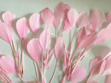 Craftuneed Bundle 40pcs Baby Pink Goose Feathers Soft Craft Feathers for DIY Hat Millinery Supplies