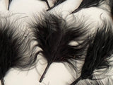 Craftuneed Bundle 19pcs Black Fluffy Craft Feathers Ideal for Millinery, Costume, Doll Making, DIY Projects