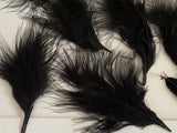 Craftuneed Bundle 19pcs Black Fluffy Craft Feathers Ideal for Millinery, Costume, Doll Making, DIY Projects