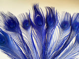 Craftuneed Bundle 8pcs Royal Blue Peacock Feather hat mount Feather For Millinery DIY Art craft