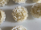 Ivory Rose Buttons Bundle Decorative Sequins & Beads Embellishments (14pcs)