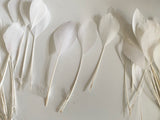 Craftuneed Bundle 30pcs Ivory Goose Feathers Soft Craft Feathers for DIY Hat Millinery Supplies