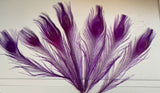 Craftuneed Bundle 7pcs Purple Peacock Feather hat mount Feather For Millinery DIY Art craft