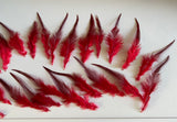 Craftuneed Bundle 23pcs Red Feathers with Tapered Pointed Tips and Fluffy down Ideal for Crafts, Costumes, Millinery