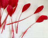 Craftuneed Bundle 25pcs Red Goose Feathers Soft Craft Feathers for DIY Hat Millinery Supplies