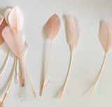 Craftuneed Bundle 34pcs Peach Pink Goose Feathers Soft Craft Feathers for DIY Hat Millinery Supplies