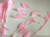 Craftuneed Bundle 40pcs Baby Pink Goose Feathers Soft Craft Feathers for DIY Hat Millinery Supplies