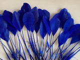 Craftuneed Bundle 35pcs Royal Blue Goose Feathers Soft Craft Feathers for DIY Hat Millinery Supplies