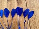 Royal Blue Goose Feathers DIY Craft Millinery Supplies (10pcs, 13-16cm Lengths)