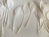 Craftuneed Bundle 30pcs Ivory Goose Feathers Soft Craft Feathers for DIY Hat Millinery Supplies