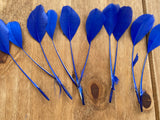 Royal Blue Goose Feathers DIY Craft Millinery Supplies (10pcs, 13-16cm Lengths)