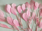Craftuneed Bundle 40pcs Baby Pink Goose Feathers Soft Craft Feathers for DIY Hat Millinery Supplies