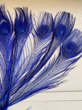 Craftuneed Bundle 8pcs Royal Blue Peacock Feather hat mount Feather For Millinery DIY Art craft