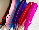 Craftuneed Bundle 9pcs Colourful large stripped hat mount feather hat for Millinery art craft diy