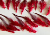 Craftuneed Bundle 23pcs Red Feathers with Tapered Pointed Tips and Fluffy down Ideal for Crafts, Costumes, Millinery