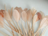 Craftuneed Bundle 34pcs Peach Pink Goose Feathers Soft Craft Feathers for DIY Hat Millinery Supplies