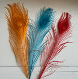 Craftuneed Bundle 11pcs Lagoon Blue Red Orange Peacock Feather hat mount Feather For Millinery DIY Art craft