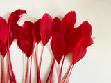 Craftuneed Bundle 25pcs Red Goose Feathers Soft Craft Feathers for DIY Hat Millinery Supplies